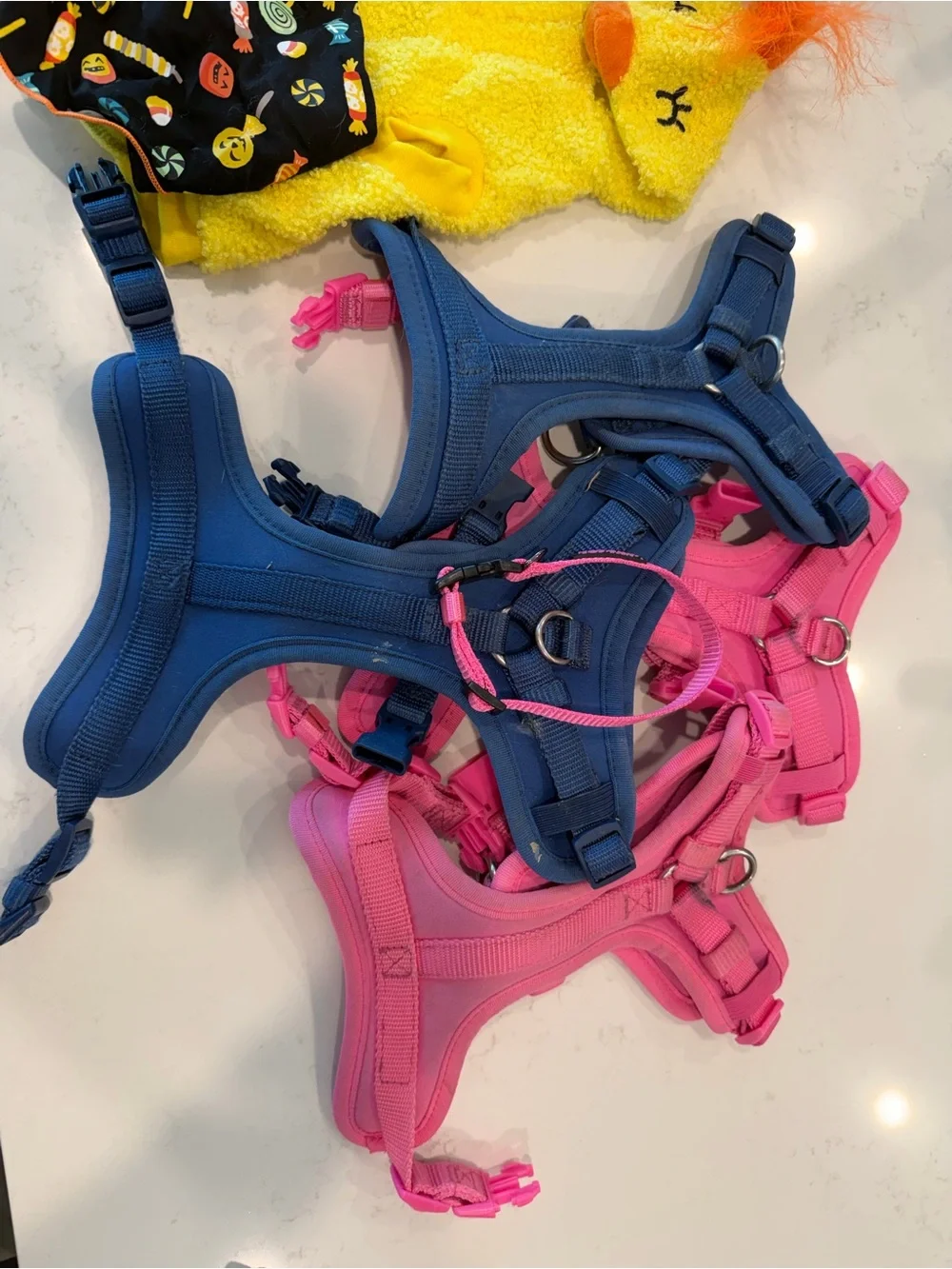 XS Dog Clothes, Bandanas, and Harnesses